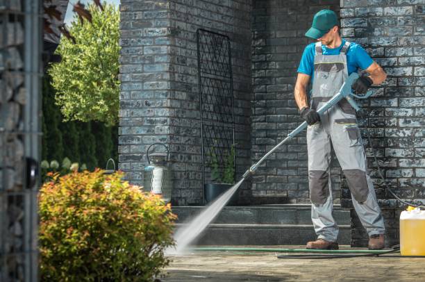 Best Animal Enclosure Cleaning  in Glendale Heights, IL